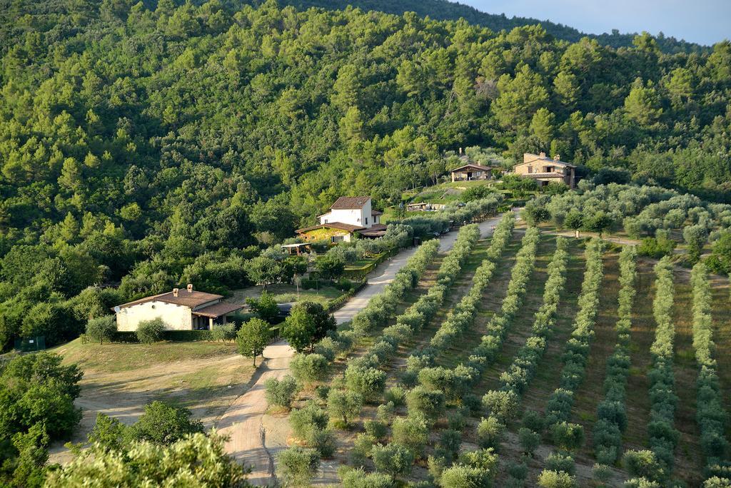 Tenuta Di Forte Sorgnano Gualdo Cattaneo Exterior foto